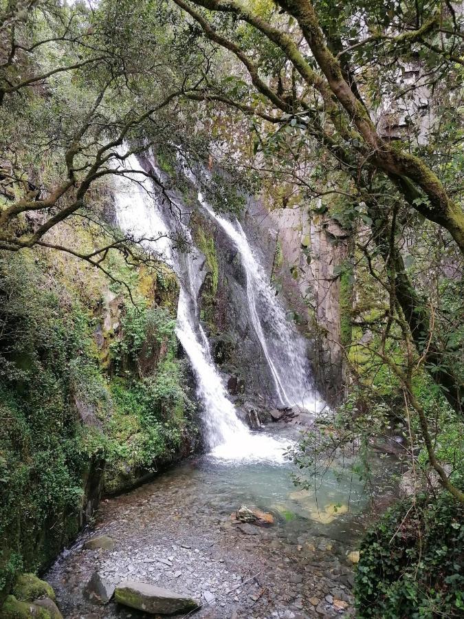 Vivenda A Nossa Coroa Villa Coja Buitenkant foto