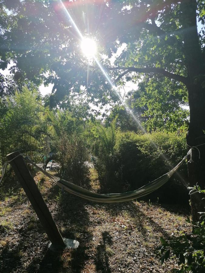 Vivenda A Nossa Coroa Villa Coja Buitenkant foto